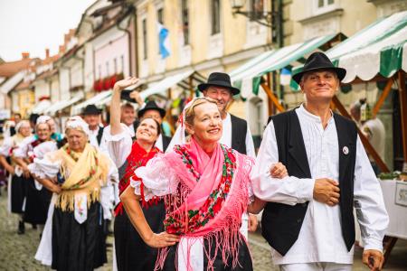 Povorka ob dnevih narodnih noš in oblačilne dedščine (80)